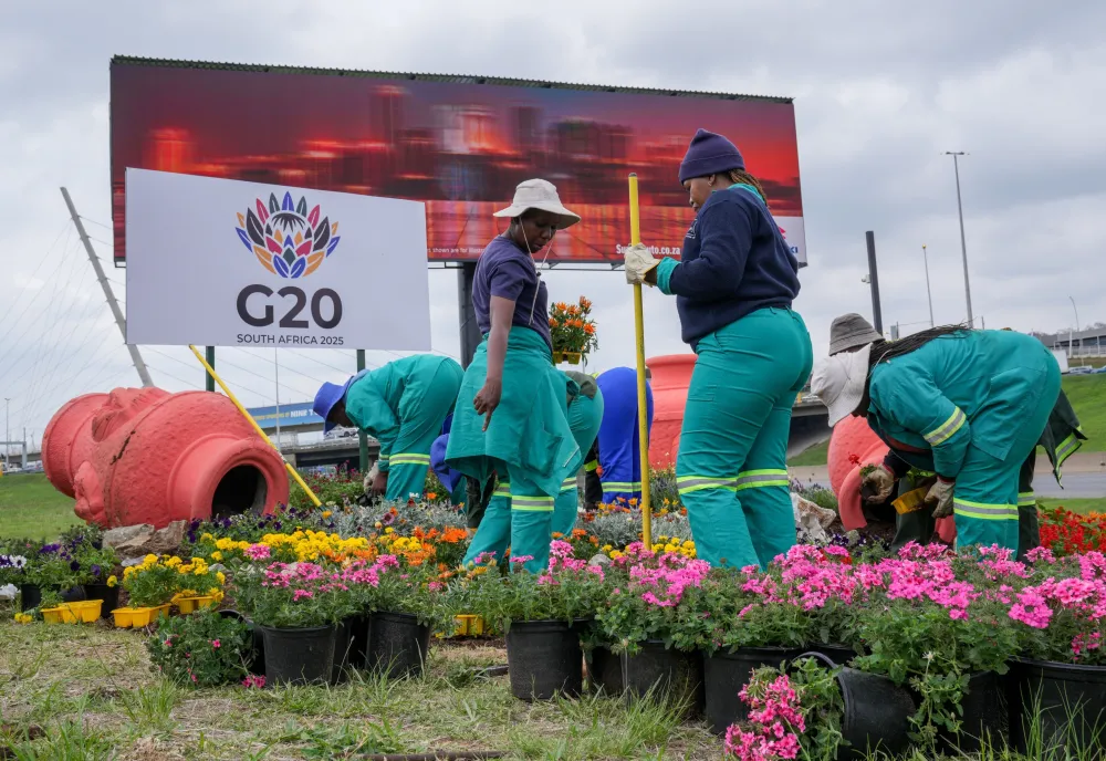 City park employee plant flowers along one of Johannesburg's major highway as a massive cleanup job gets underway in anticipation of the upcoming G20 summit to be held in the South African economic capital, Friday, Nov. 14, 2025. (AP Photo/Jerome Delay)