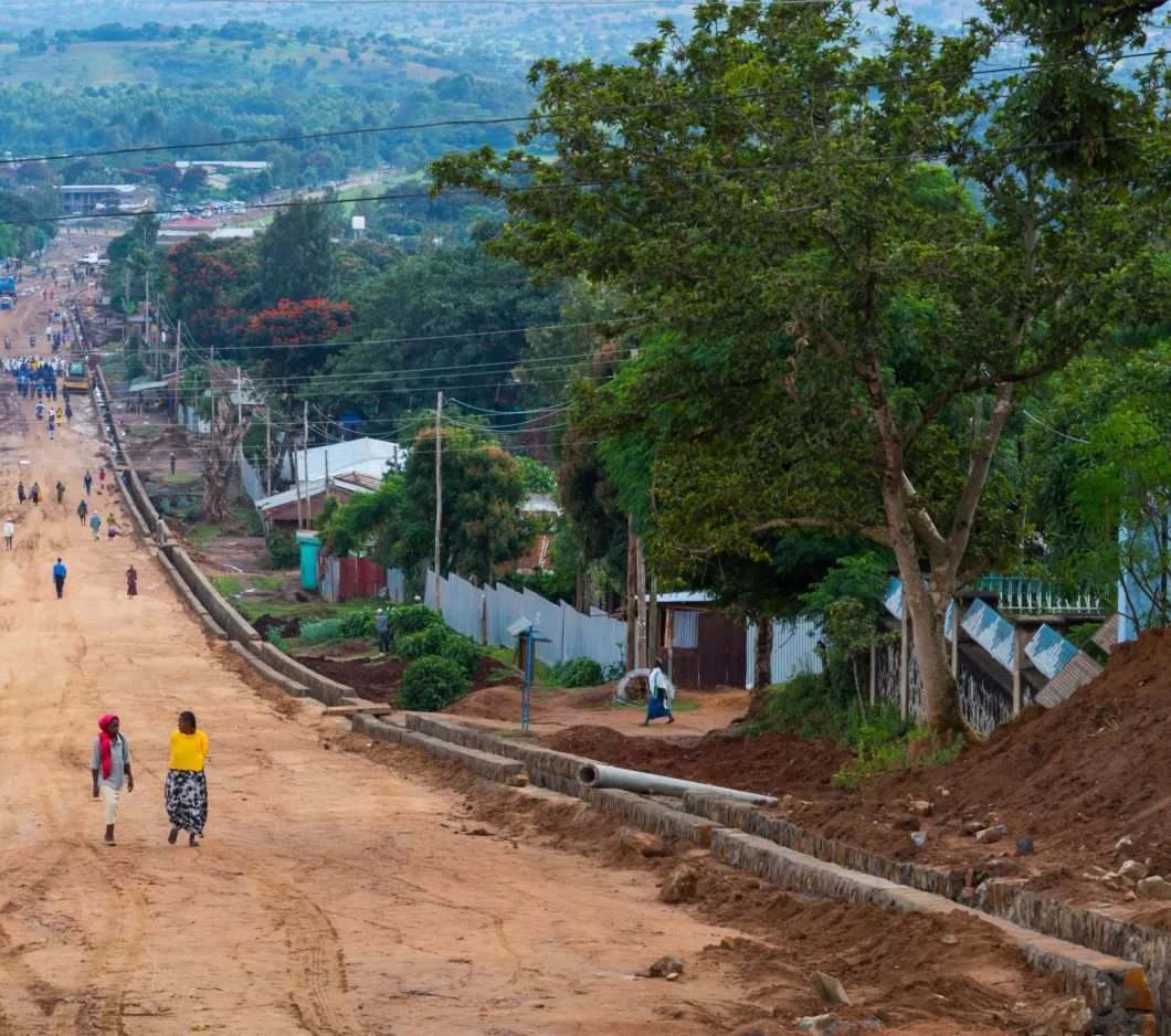 A long dirt road flanked by trees and crowded with people