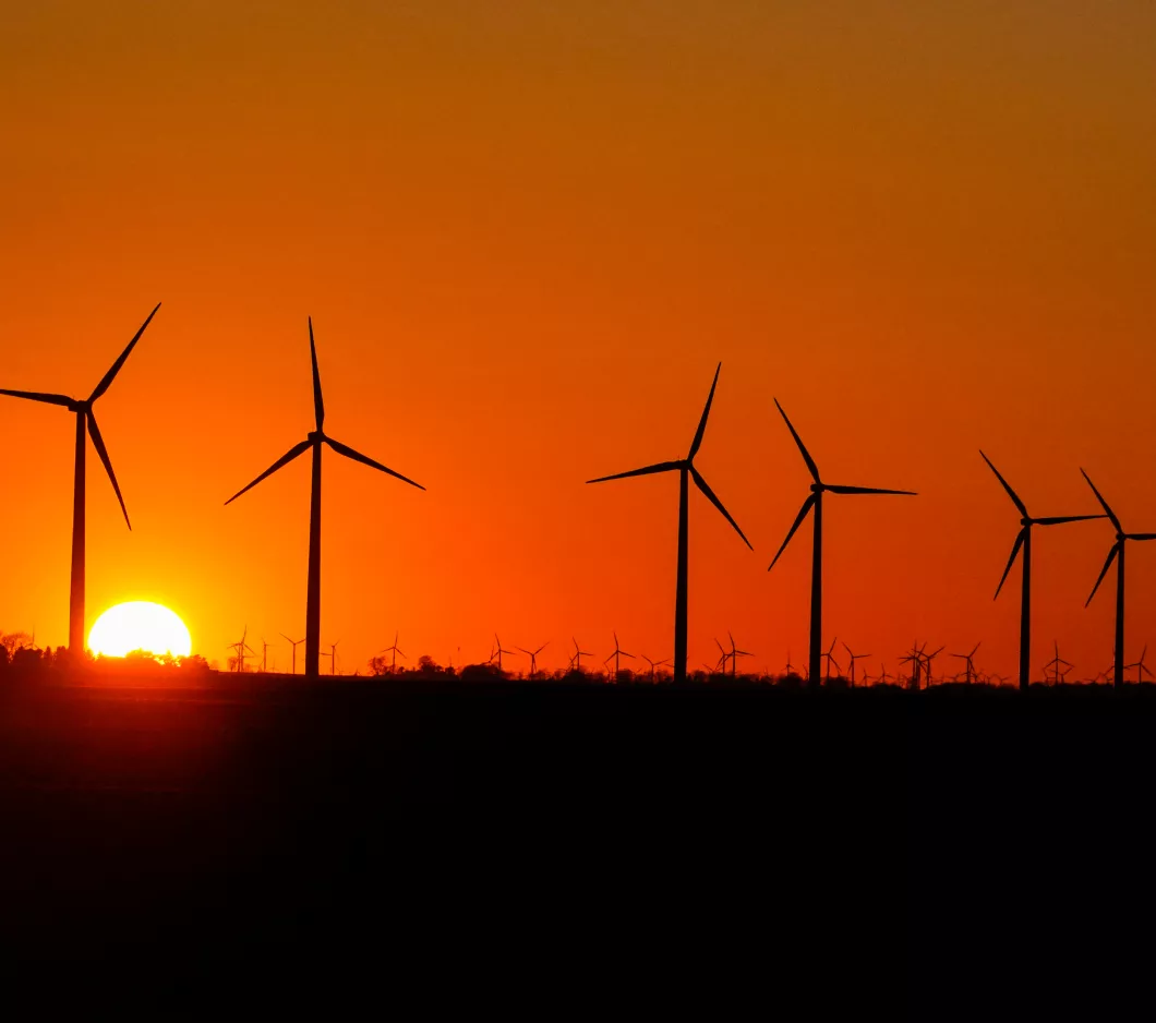 Windmills at sunset