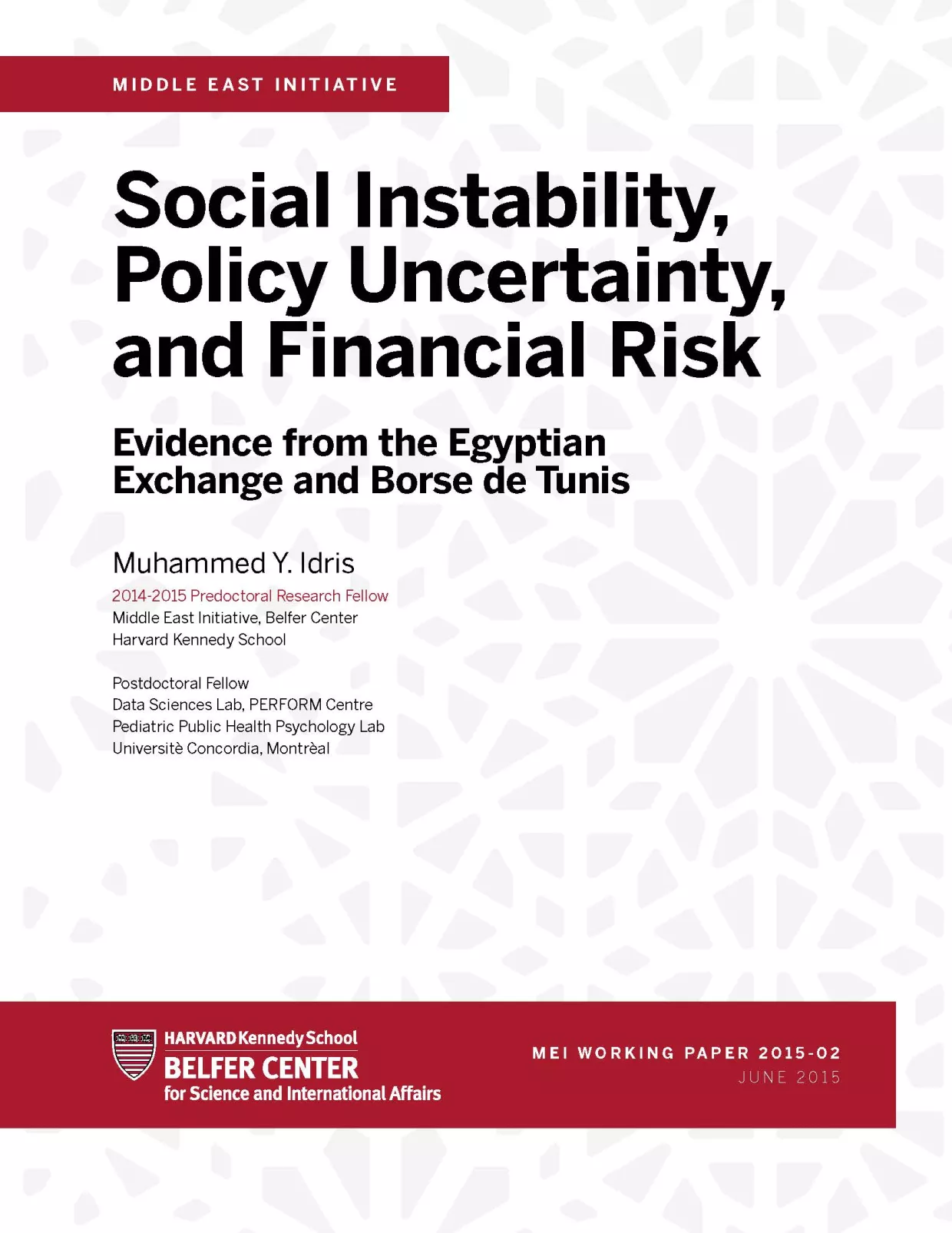 Muhammed Y. Idris Working Paper Cover