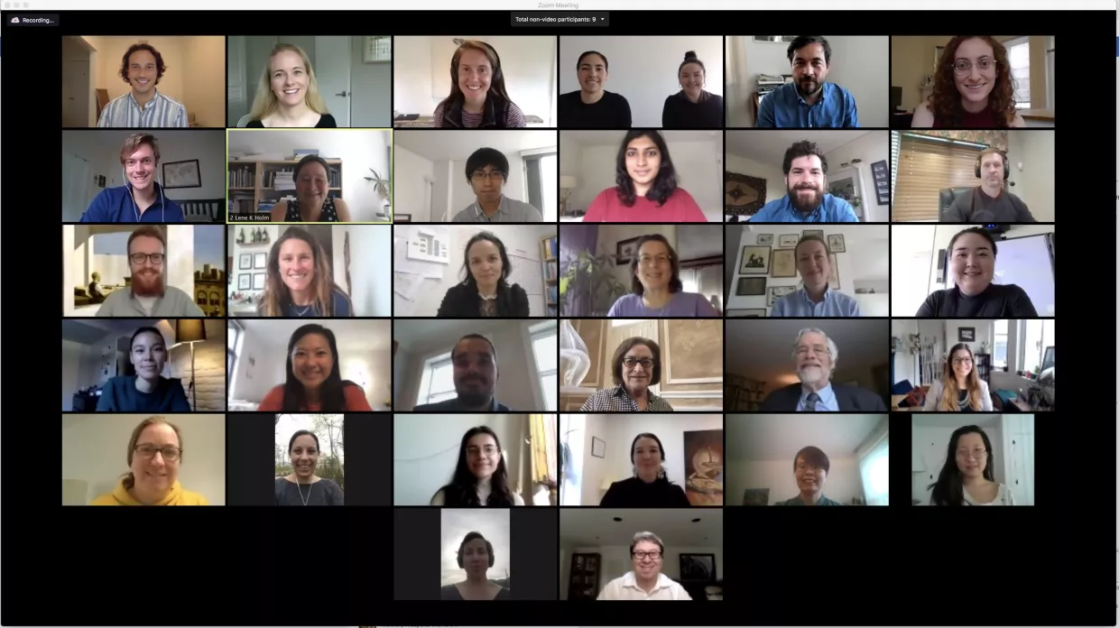 Greenland Zoom Screenshot