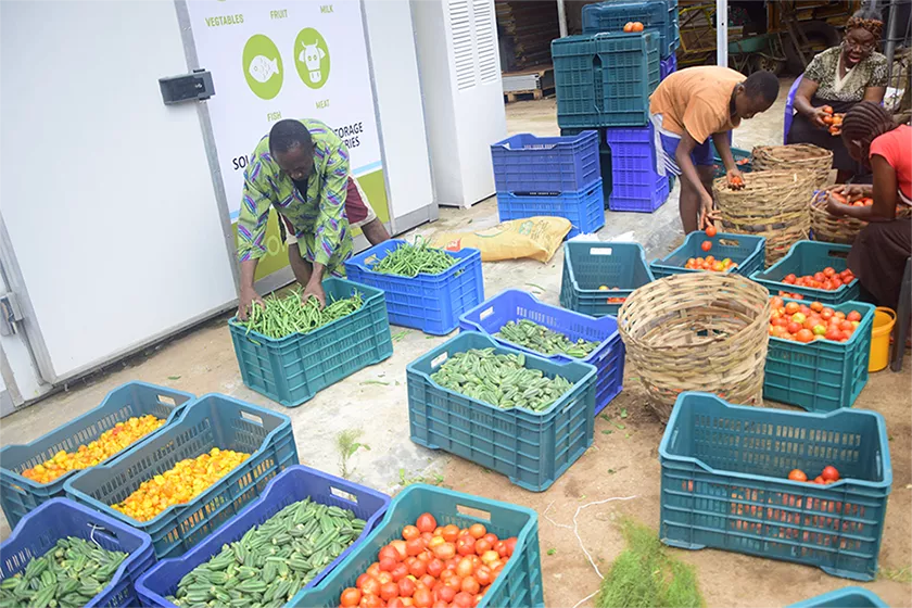 Men load produce into crates to be stored in a ColdHubs unit