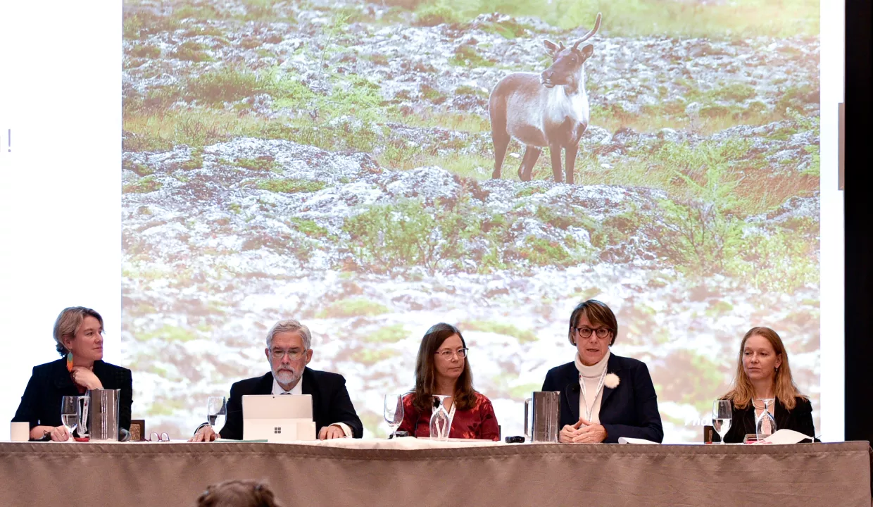Permafrost Pathways panel during CSPC 2022