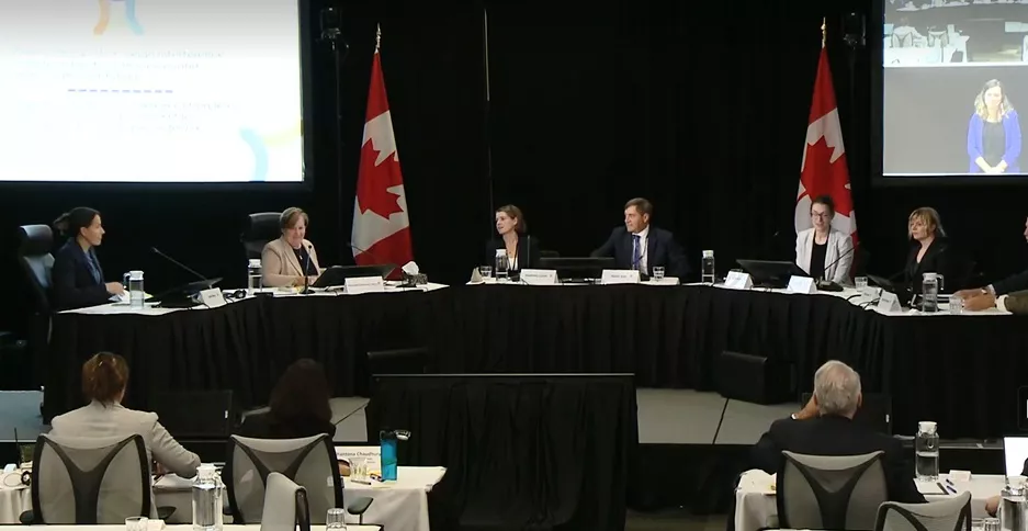 October 23, 2024 Foreign Interference Commission Panel Testimony