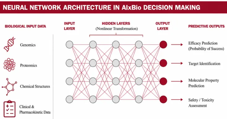 Neural network architecture involved in AIxBio decision-making processes