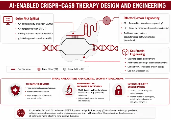 AI-enabled CRISPR–Cas9 design and engineering framework