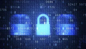 cyber
