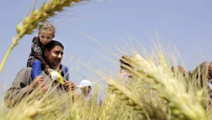 An Egyptian farmer carries his daughter in front of wheat crops on his land in Kafr Hamouda village, in Zagazig, 63 miles (100 kilometers) northeast of Cairo, Egypt.