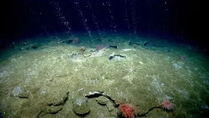 methane streams 