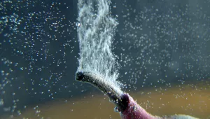 A photo of electrolysis in action. (Flickr: ca_heckler)