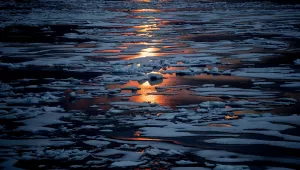 midnight sun shines on sea ice