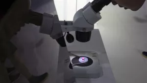 In this file photo taken Thursday, May 17, 2018, a visitor to the 21st China Beijing International High-tech Expo looks at a computer chip through the microscope displayed by the state-controlled Tsinghua Unigroup project which has emerged as a national champion for Beijing's semiconductor ambitions in Beijing, China. 