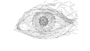 Intersecting black lines form the shape of a human eye.