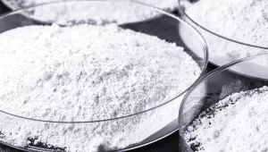 petri dishes filled with white powder