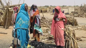 Women who have been internally displaced selling charcoal on a market in Al Fashir, capital of the Sudanese state of North Dafur, February 18, 2015.