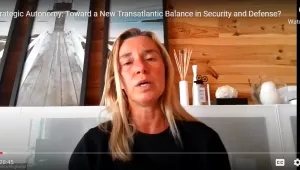 Screenshot from Federica Mogherini's study group