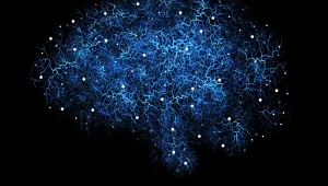 Tech and Public Policy to Save the Brain