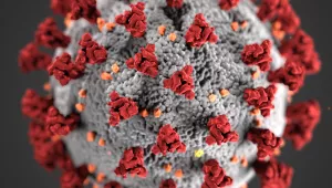 A magnified image of the Cornoavirus
