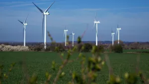wind turbines in distant field