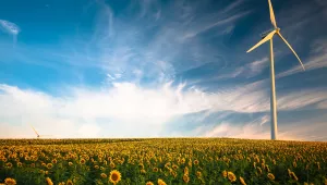 Wind turbine in flower field