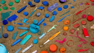 Assorted plastic collected during a spring community cleanup at the shoreline and harborfront of Hamilton, Ontario.