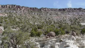 Landscape of the Nevada National Security Site