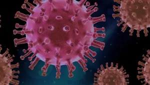 COVID19 Virus