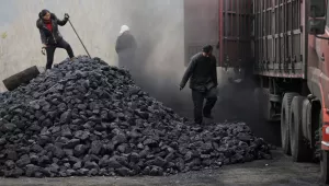 Workers load coal from a truck at a process station for sale in Tangxian in China's Hebei province.