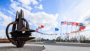 Image of flags of NATO countries