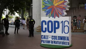 A sign in front of a hotel announces the COP16 United Nations biodiversity conference.