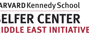 Belfer MEI Logo
