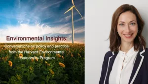 Elaine Buckberg podcast graphic