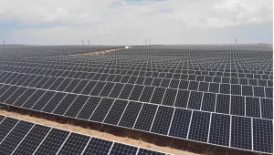 A Solar Farm