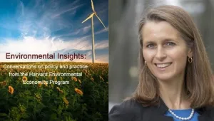 Catherine Wolfram Environmental Insights Graphic