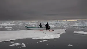 Seal hunters near Ilulissat, Greenland.