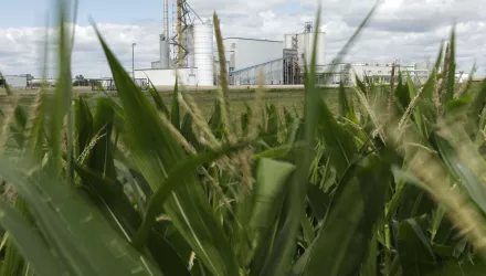 An ethanol plant stands next to a cornfield near Nevada, Iowa, July 20, 2013.