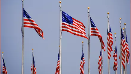 U.S. Flags at the Washington Monument (DC) May 2015