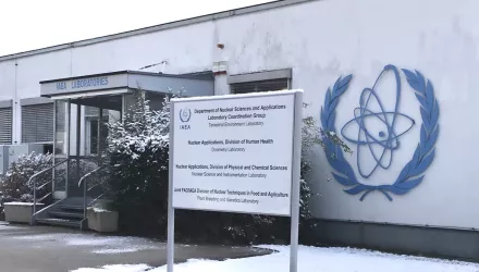 The IAEA and its analytical laboratories would likely play a strong role in nuclear disarmament monitoring and verification.
