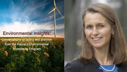 Catherine Wolfram Environmental Insights Graphic