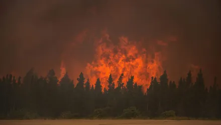 A wildfire near La Ronge, Saskatchewan, July 15, 2015.