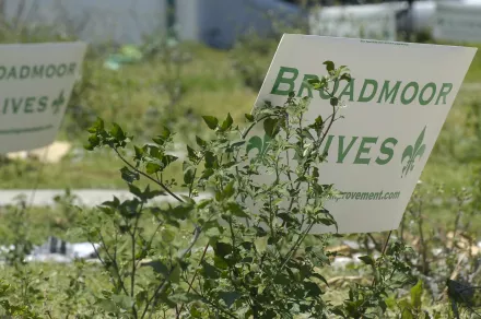 Broadmoor yard signs