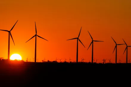 Windmills at sunset