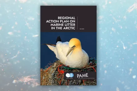 Cover of the Regional Action Plan on Marine Litter in the Arctic.