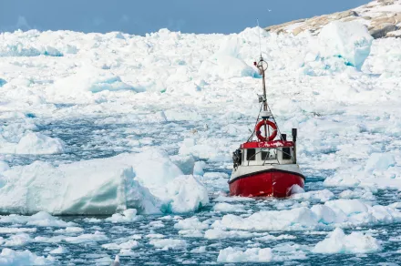 A fishing boat navigates through sea ice in Greenland.
