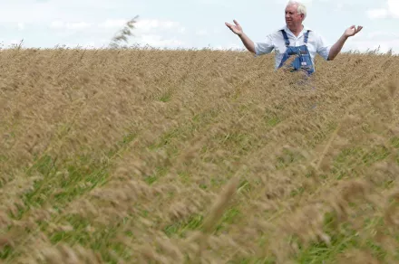 Leroy Perkins stands in his field of grass