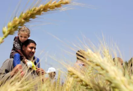 An Egyptian farmer carries his daughter in front of wheat crops on his land in Kafr Hamouda village, in Zagazig, 63 miles (100 kilometers) northeast of Cairo, Egypt.