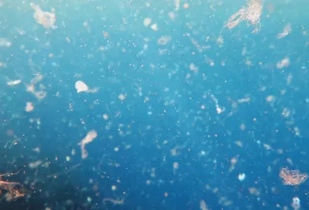 Plastics Pollution Adobe Stock Photo