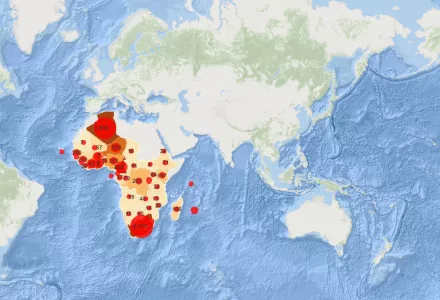Confirmed cases in the WHO African Region
