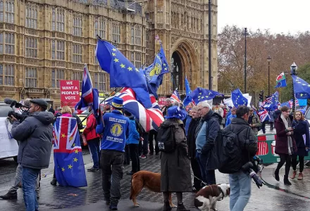 London December 5 2018 Brexit Protest at Parliament