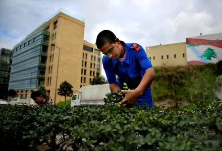 In this Friday, March 4, 2016 photo, Syrian refugee Ibrahim al-Abd, 15, who fled with his family from Deir el-Zour, Syria, trims plants on a street in downtown Beirut, Lebanon.